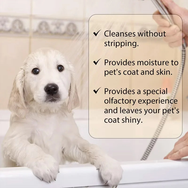 Pet shampoo is gentle and clean. Pet cat and dog hair is soft and non knotting. Shampoo shampoo Qme