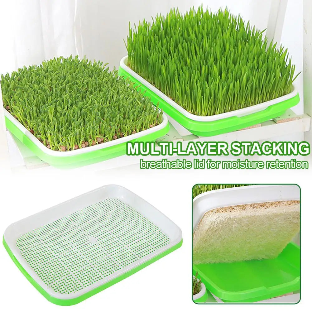 Soilless Planting Seedling Tray Seed Sprouter Germination Growing Qme