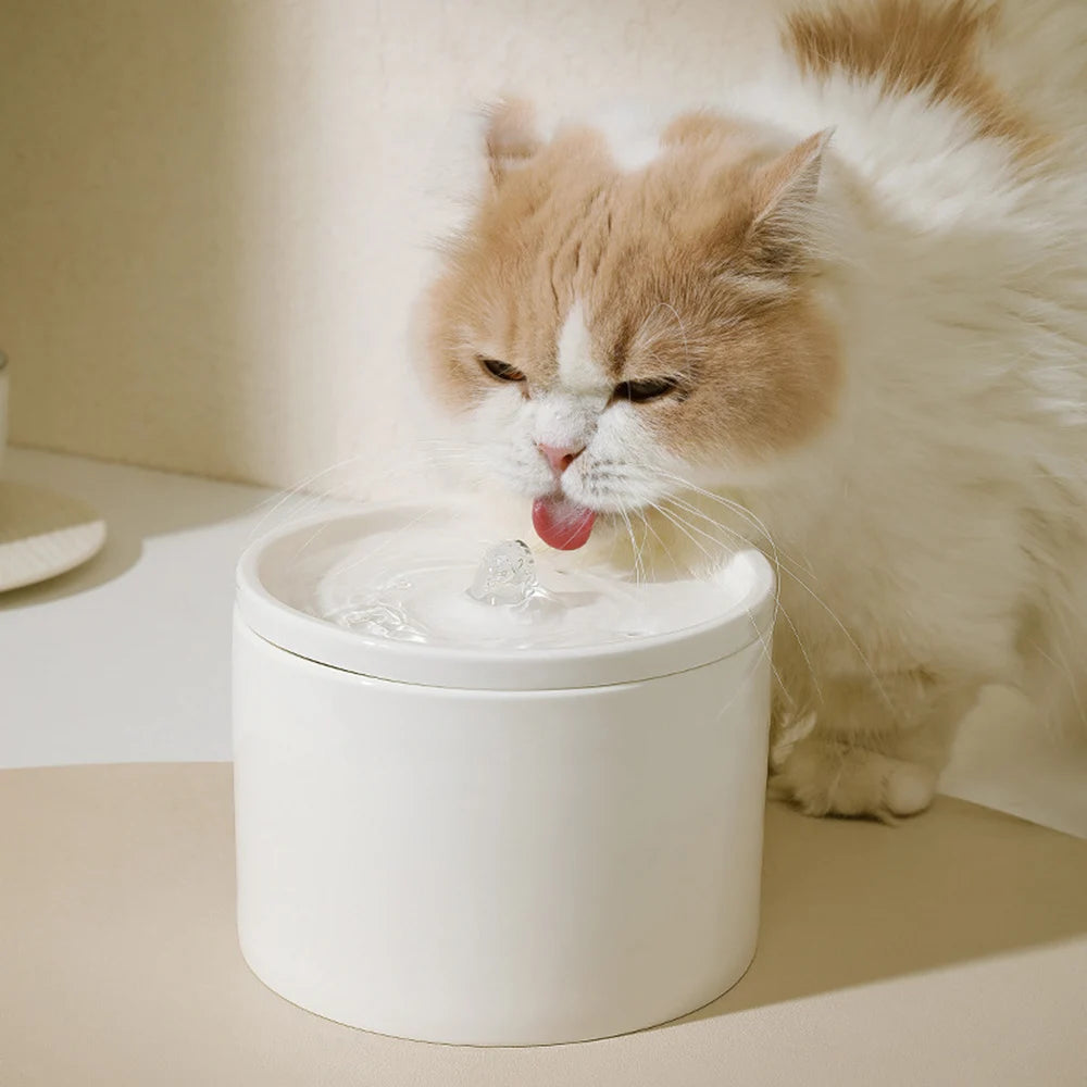 Water Dispenser Cat Automatic Water Dispenser, Pet Ceramic Bowl, Dog Bowl Water Dispenser, Circulation And Flow Qme