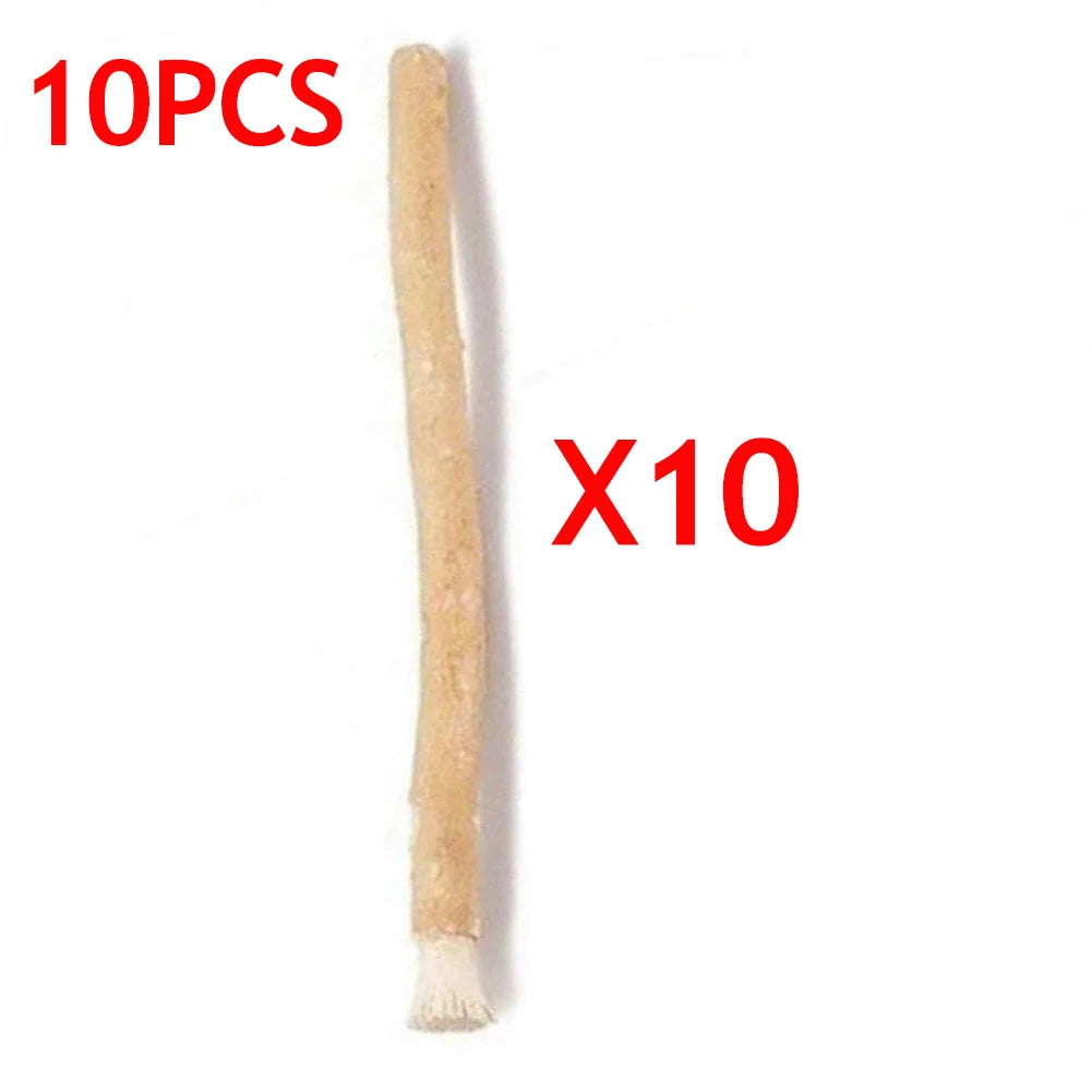 10PCS Miswak Siwak Natural Toothbrush Misvak Traditional Arak Miswaak Teeth Whitener Soft Travel Manual Toothbrus Qme 10PCS China
