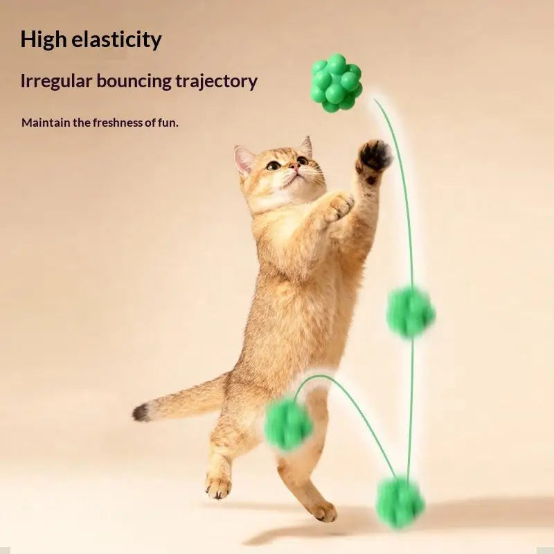 Playing Training Teeth Cleaning Cat Toy Chew Bouncy Ball Elasticity Qme