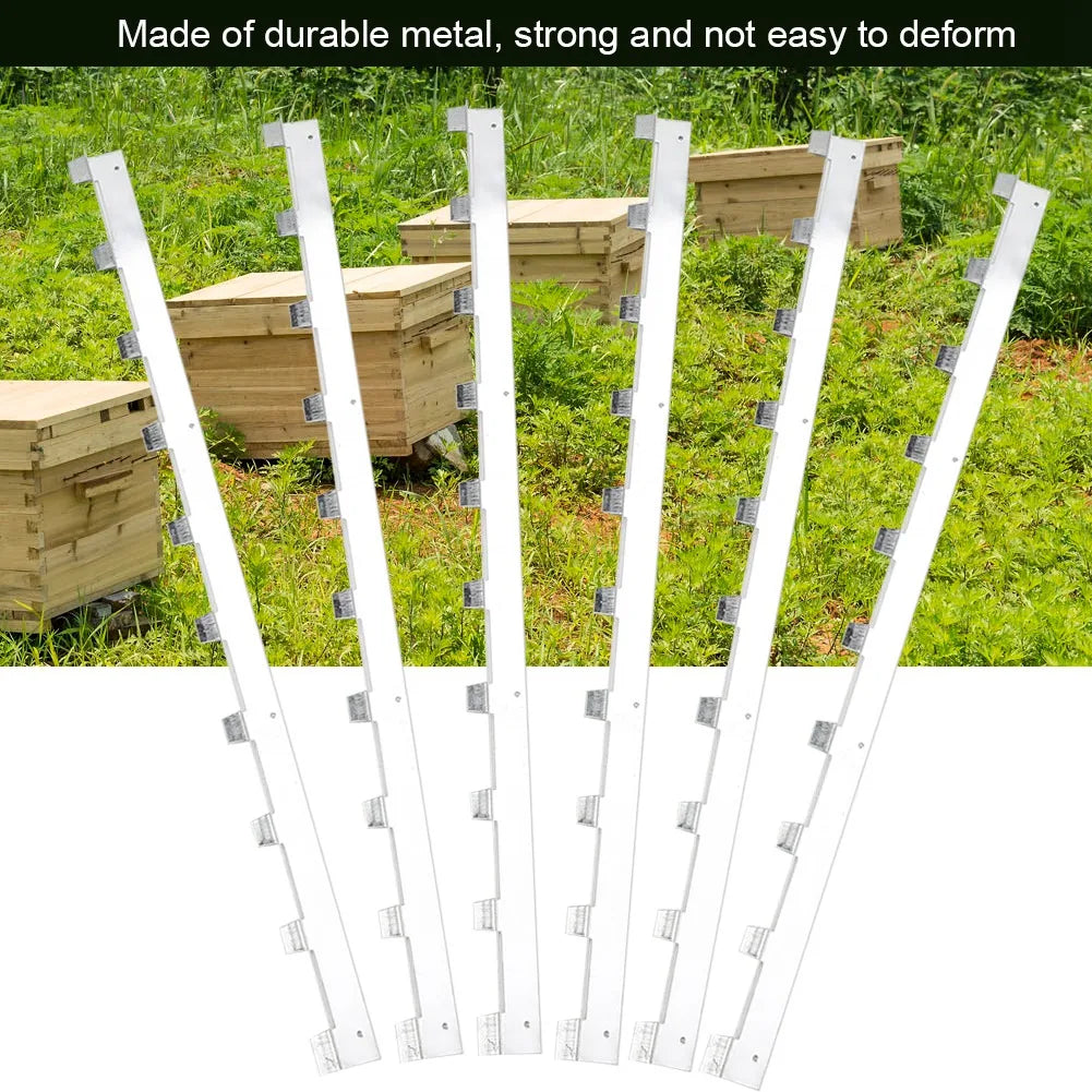 6Pcs Metal Beehive Frame Spacers Durable Beekeeping Hive Frame Strips Beekeeper Tool Equipment for Bee Hive Beekeeper Tool Qme
