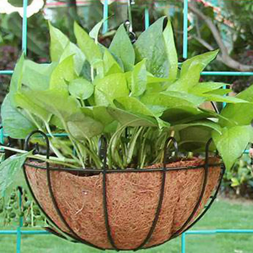 Coconut Basket Liners Coir Plant Liner Fence Flower Baskets Plants Qme