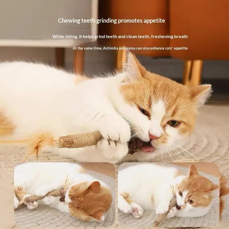 1/2PCS Cat Toys Made Of Wood Sticks Insect Galls Raffia Sisal Rope Teeth Cleaning Toys Cat Teasing Sticks Qme