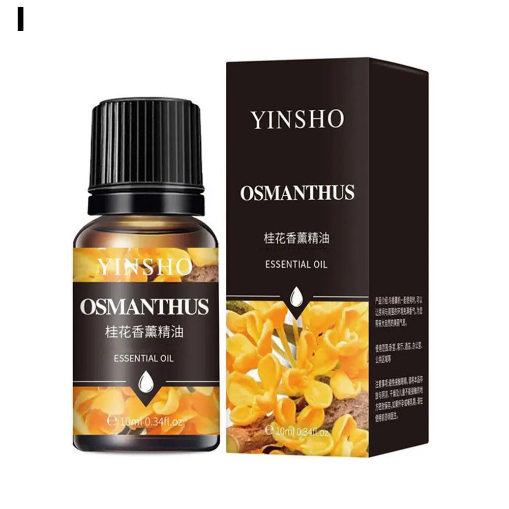 Car Air Freshener Electric Diffuser Aroma Vent Essential Oil Mist