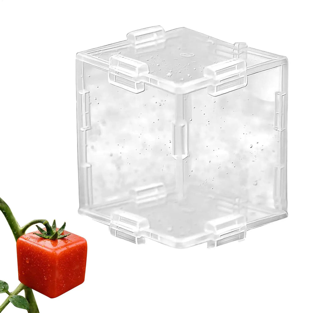 Vegetable Shaping Mold Triangular and Cubic Transparent Mould Reusable Fruit Growing Molds for Cucumber Tomato Strawberry Qme