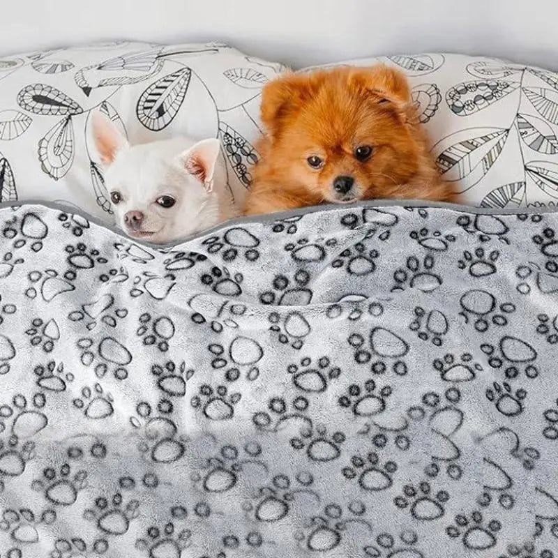 Ultra Soft Fluffy High Quality Pet Blanket Cute Cartoon Pattern Pet Mat Warm And Comfortable Blanket For Cat Dogs Cat Bath Towel Qme