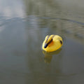 Floating Duck Ducklings Pond Statue Ornament Plastic Decoy Decorative Qme Default Title