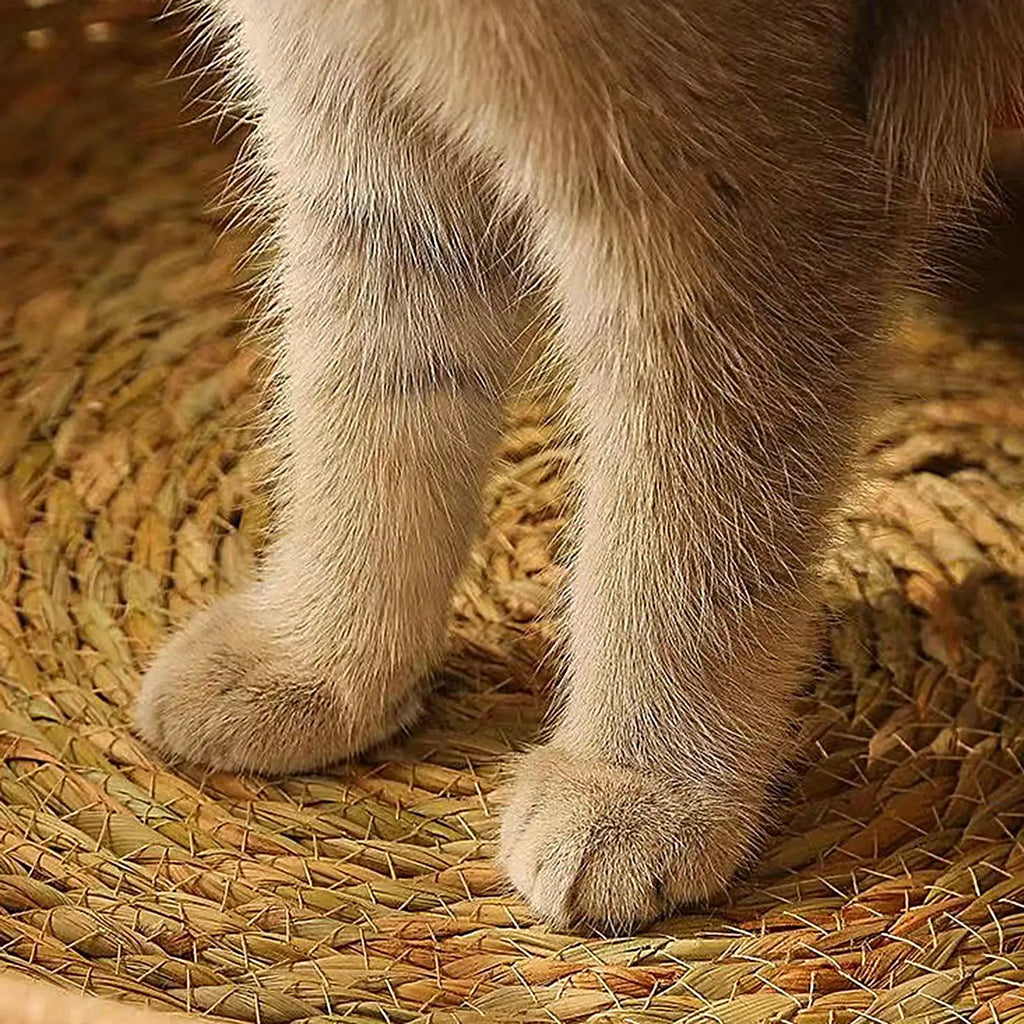 Woven Cat Bed Cotton Rope Round Sleep Pillow All Season Weaving Pet Qme