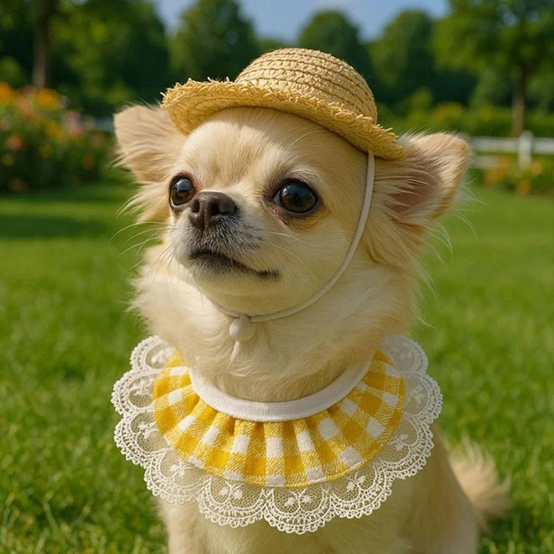 Wear Windproof Rope Puppy Straw Hat Creative Porch Pet Dog Cat Qme
