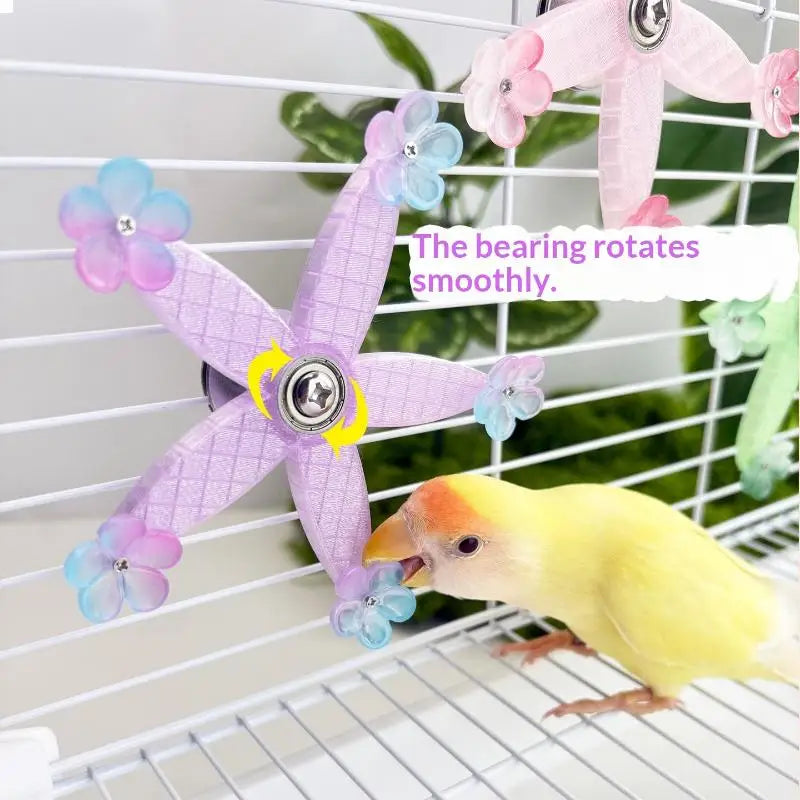 Bird Mental Stimulation Entertainment Gnawing Cage Accessories Toy Qme
