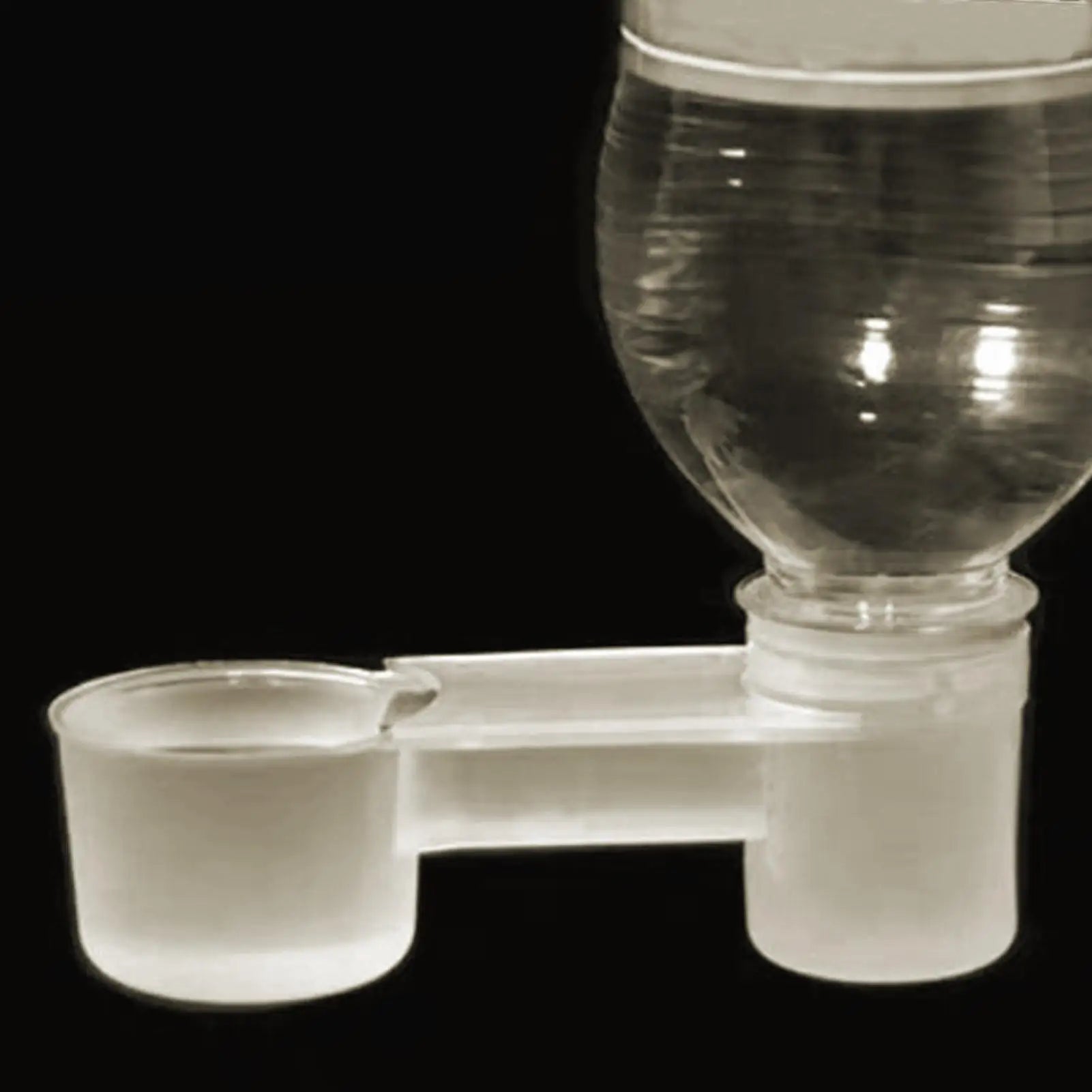 NEW Bird Waterer Drinker Feeder Water Clip For Parrots Double-Port Transparent Supplies Dispenser For Chicken Finches Parakeet Qme