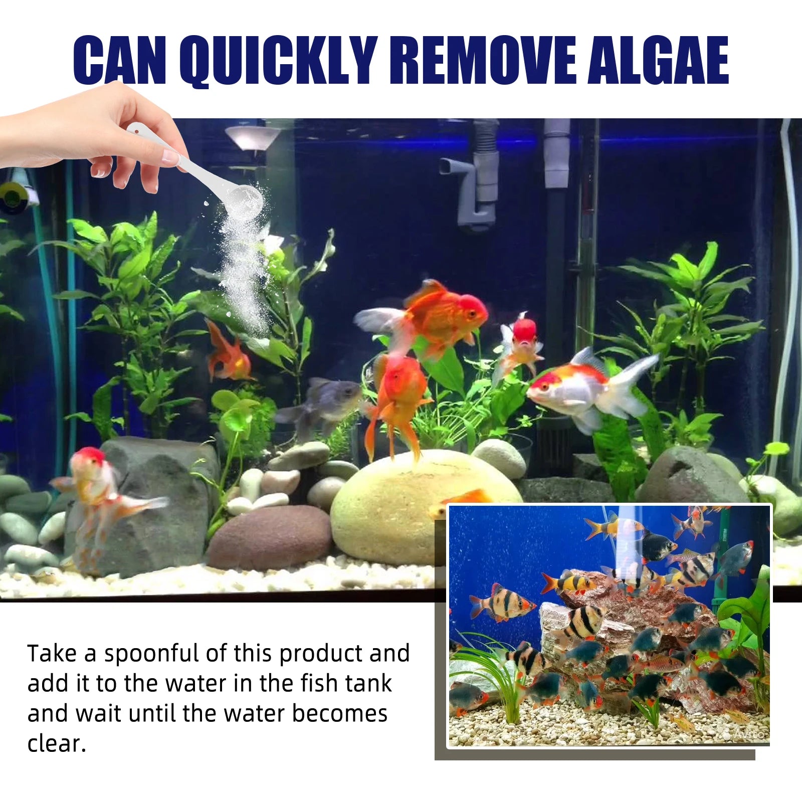 Algae Removal Quickly Removing Fish Manure Eliminate Odor Purify Water Quality Improve Water Purity Fish Tank Moss Removal Agent Qme