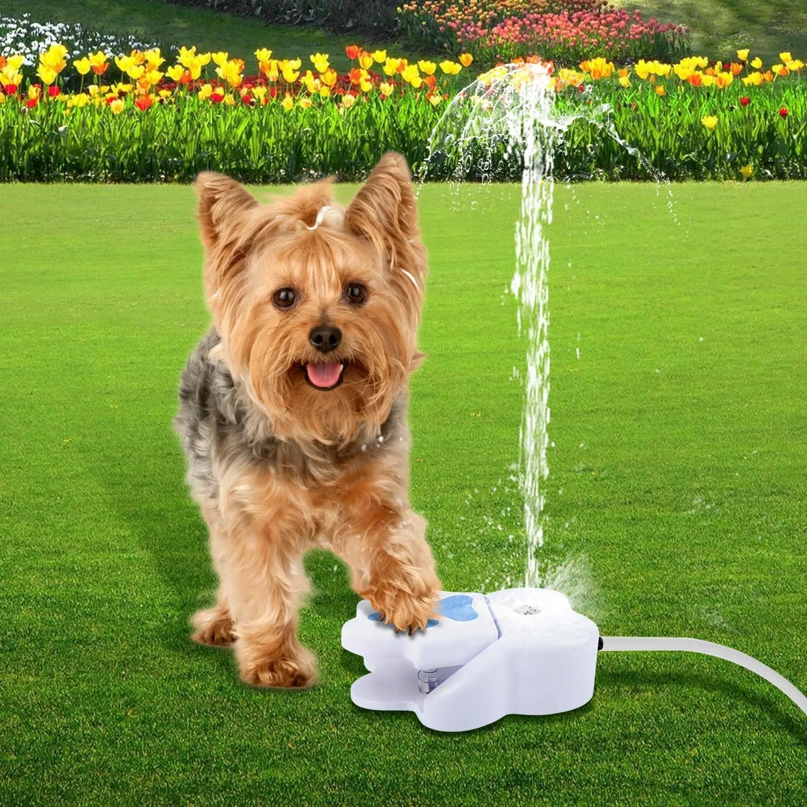 NEW Pet Water Fountain Step On Safe Pet Puppy Step On Safe Pet Water Supply Dog Use Step On Dog Drinking Fountain Water Pet Toy Qme