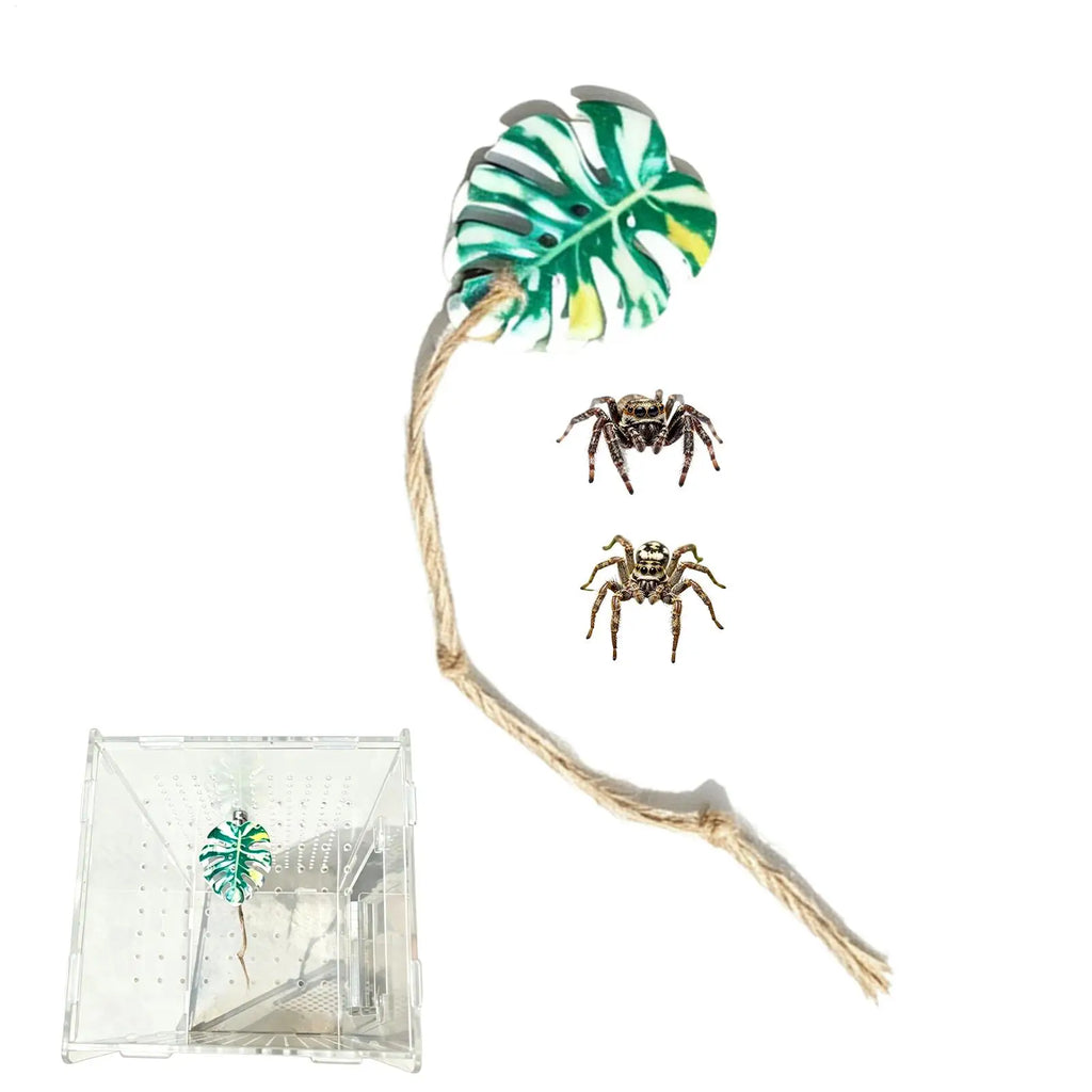 Jumping Spider Accessories Decorative Realistic Climbing Toys Qme