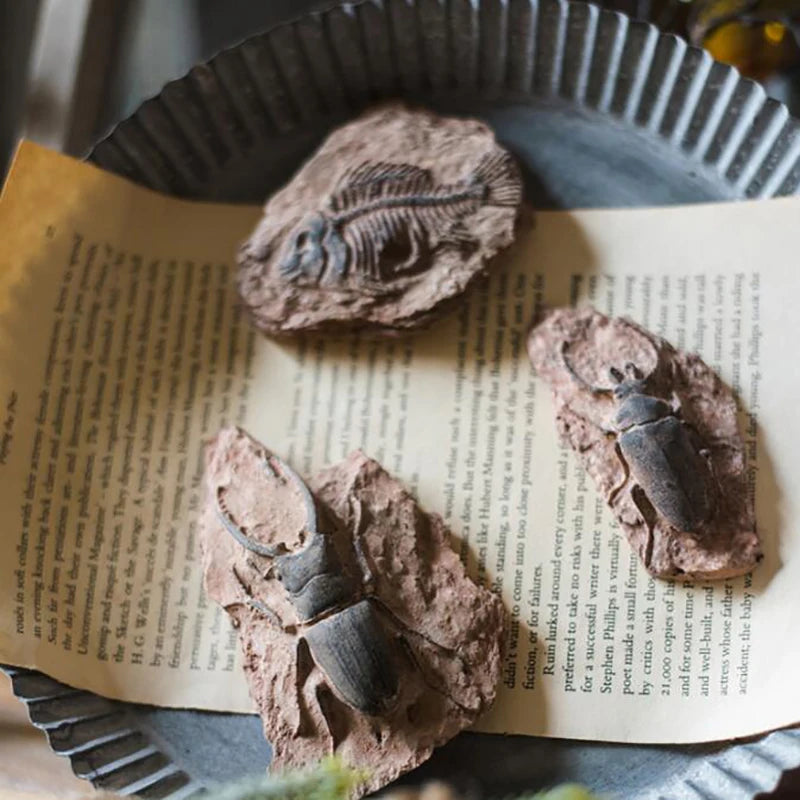 Child Toy Simulated Resin Fossil Ornament Crawling Terrarium Decors Qme