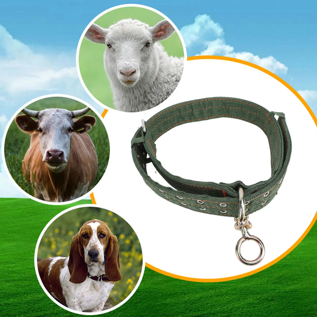 Cattle Collar Nylon Thickened Heavy Duty Cow Show Collar with Metal Buckle and Traction Chain for Horse Dog Cattle Collar Qme
