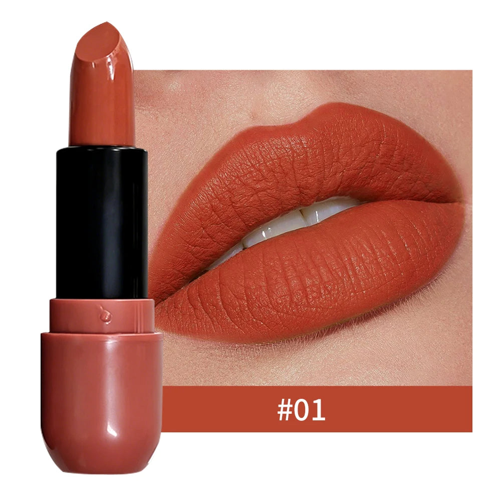 Long Wear Matte Lipstick Fog Velvet Finish Waterproof Pigment Lip Qme 01
