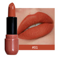 Long Wear Matte Lipstick Fog Velvet Finish Waterproof Pigment Lip Qme 01