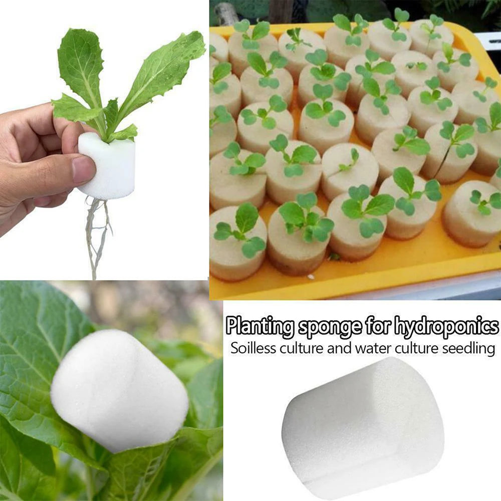 50PCS Plant Net Cup & 50PCS Cylinders Sponge Soilless Net Basket Grow Orchids Hydroponics Cups Garden Supplies Qme