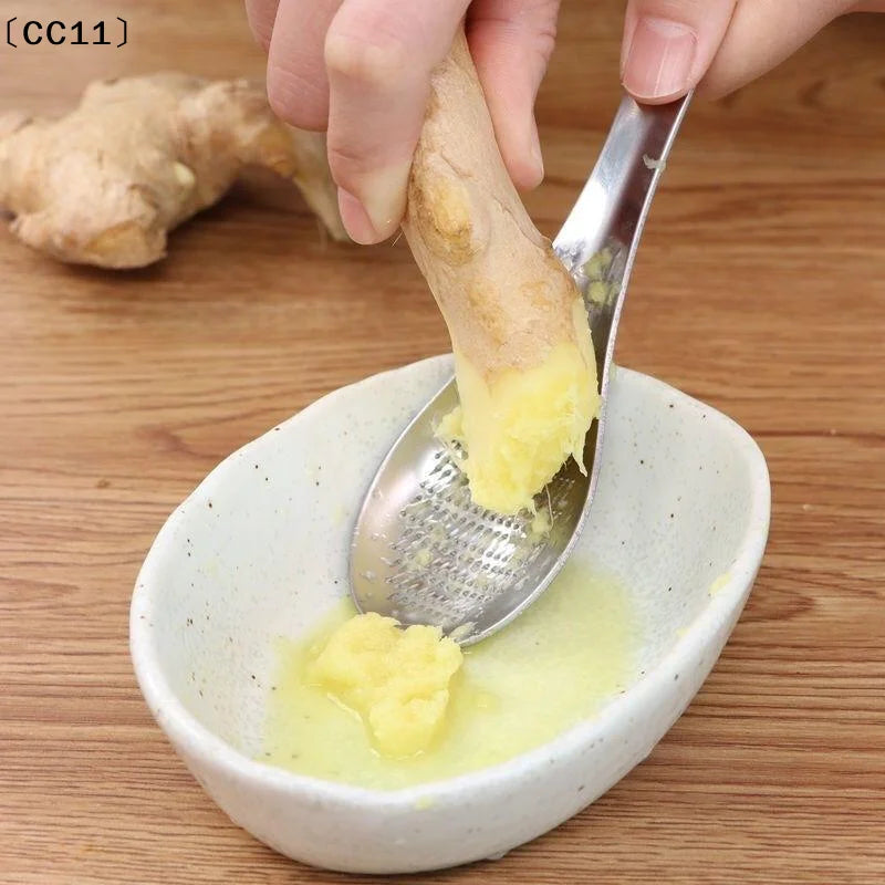 Stainless Steel Garlic Ginger Fruits Root Vegetable Grater Grinder Qme