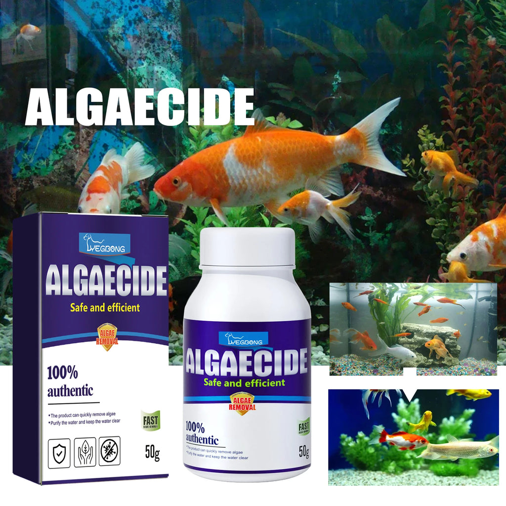 YEGBONG Algae Removal Agent Effectively Remove Algae Purify Water Quality Prevent Water Pollution Fish Tank Algae Removing Moss Qme