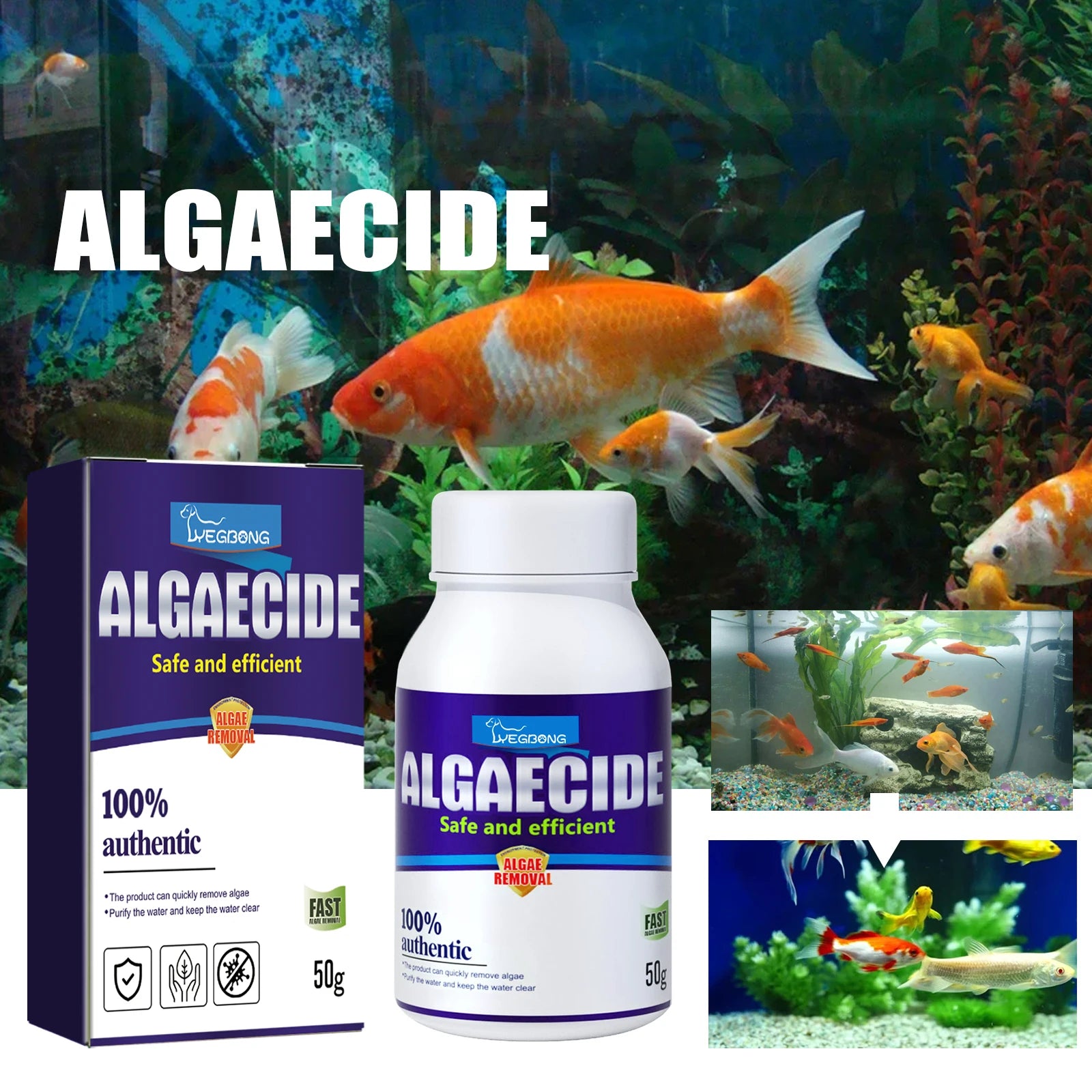 YEGBONG Algae Removal Agent Effectively Remove Algae Purify Water Quality Prevent Water Pollution Fish Tank Algae Removing Moss Qme