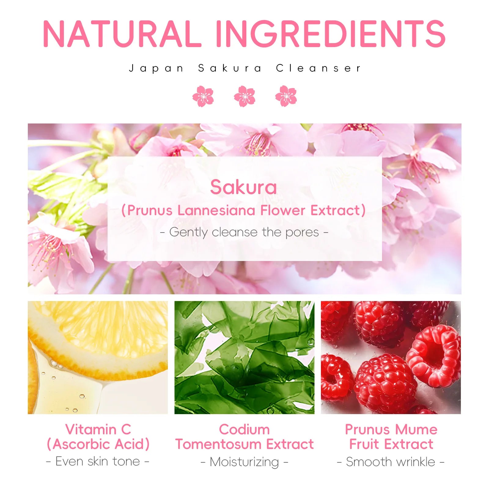 Sakura Facial Cleanser Deep Cleansing Pores Oil Control Moisturizing Brightening Face Wash Gentle For All Skin Types 50g Qme