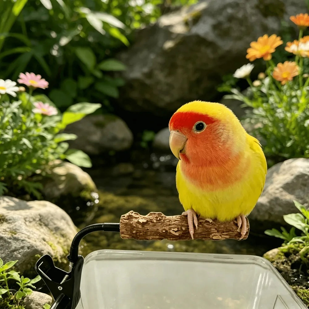 Clip-on Bird Potty Training Perch Adjustable Stand Natural Wood Qme