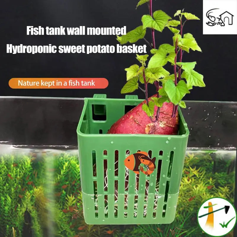 Aquarium Planter Baskets Aquatic Pot Box Aquascape Decoration Qme