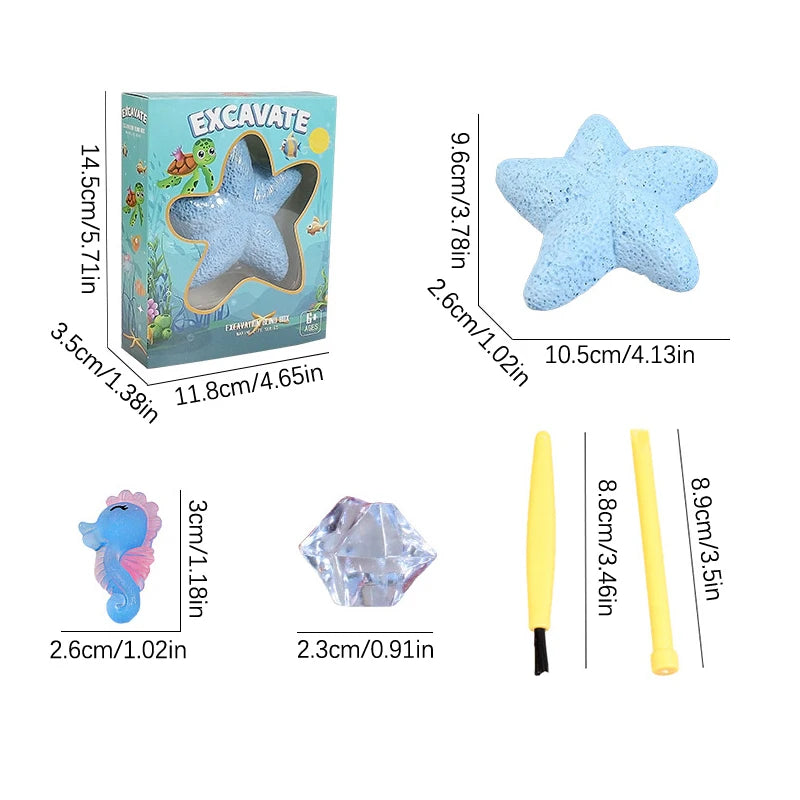 Starfish Marine Life Gemstone Dig Archaeological Excavation Toy Qme one size