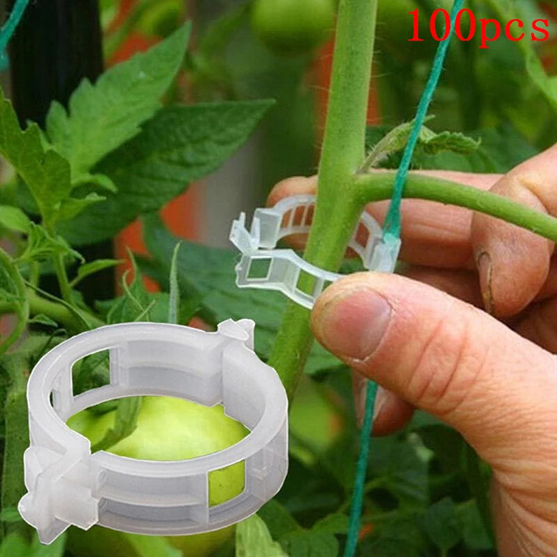 100Pcs veggie garden plant support clips for trellis twine greenhouse. Qme