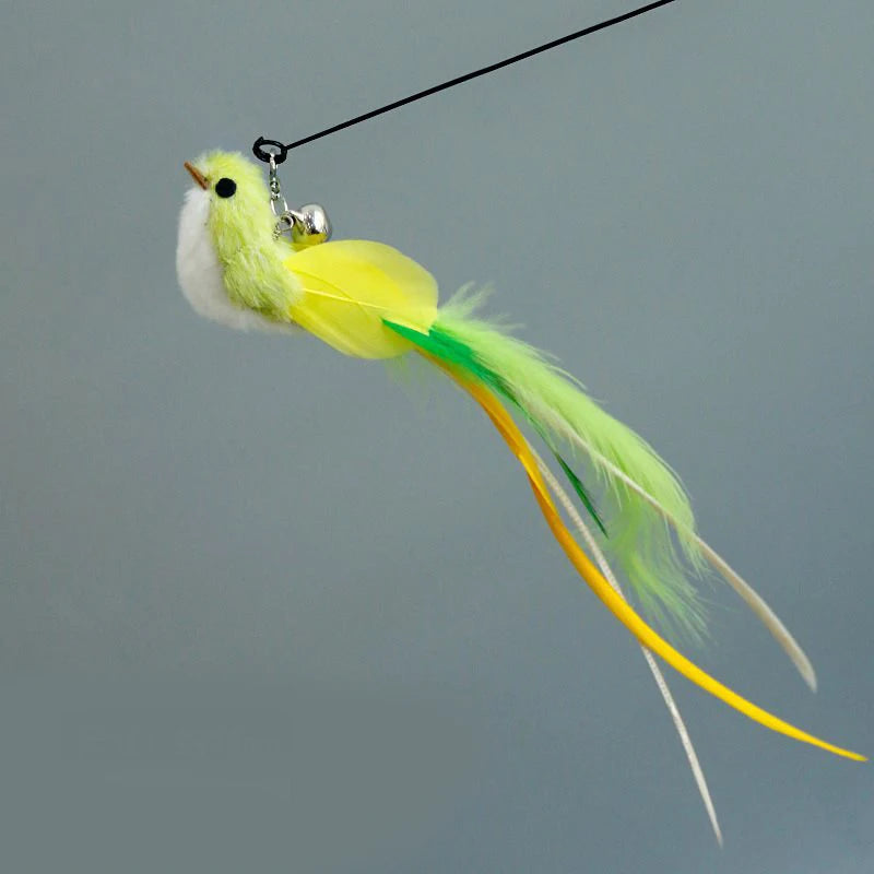 Funny Bird Feather Cat Wand With Bell Accessories Interactive Toys For Cats Kitten Hunting Teaser Exercise Pet Products Qme Green bird