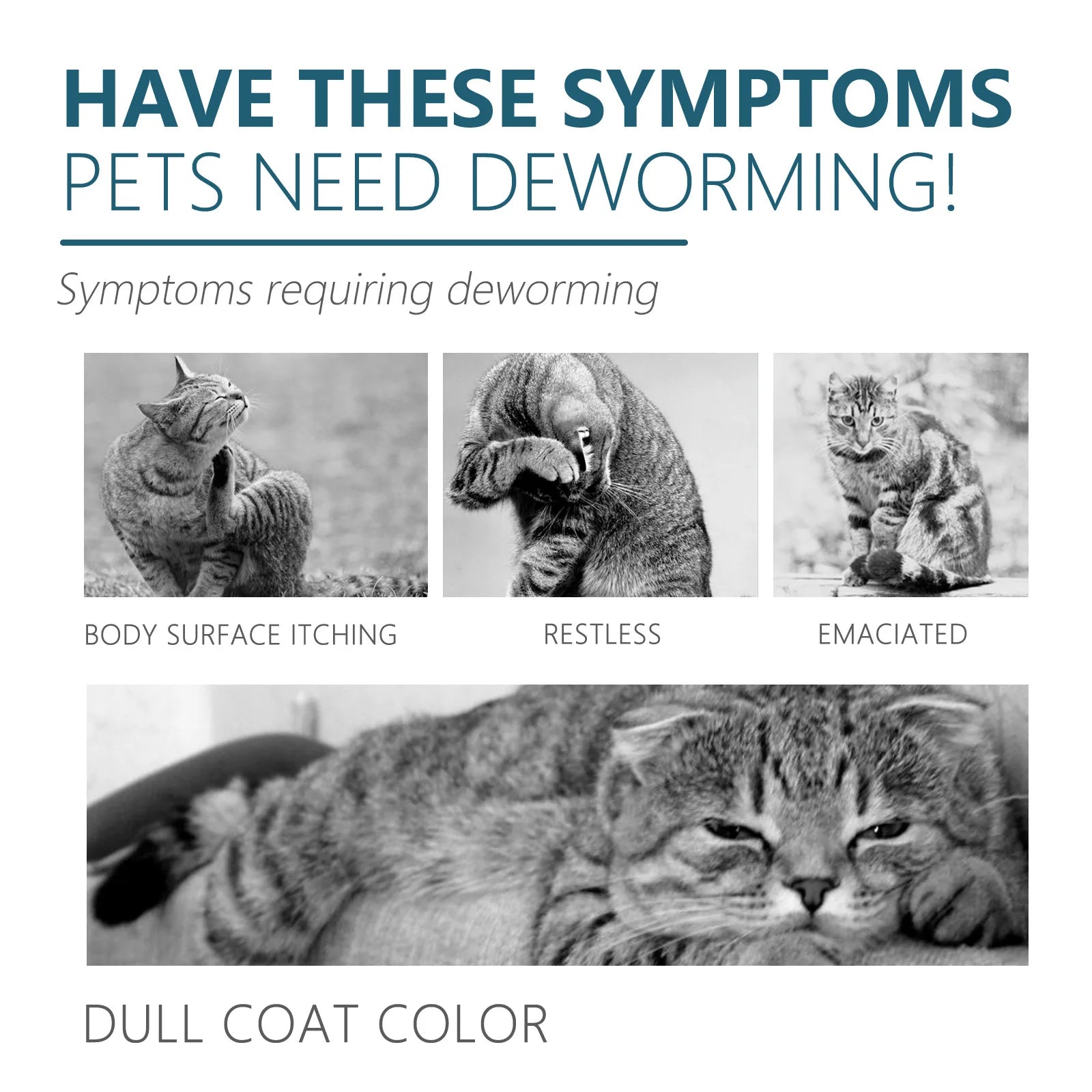 Pet Flea Killer Drops Anti Fleas Cats Ticks Lice Mite Removal Relieve Itching Dogs Ringworm Treatment Pet Insect Removal Drops Qme