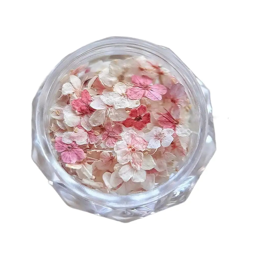 1 Box 3D Dried Flowers Nail Art Stickers Decals Mix Tiny Floral Petals Colorful Flower For Nails Crafts DIY Manicure Decorations Qme B CN