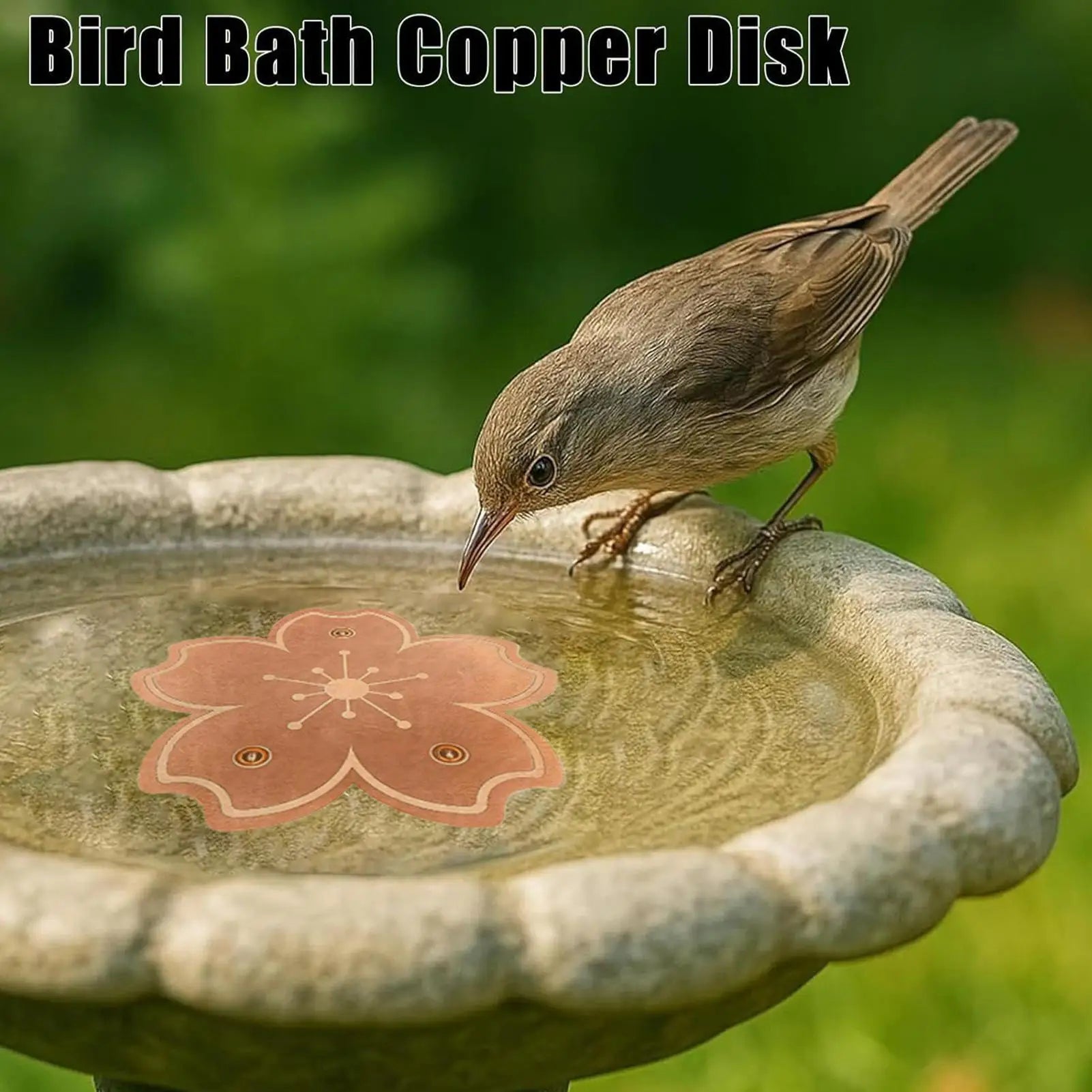 Copper Bird Bath Cleaning Disk Stable Feeder Bowl Purifier Plate Copper Bird Bath Purification Cleaner Disk for Outdoors Qme