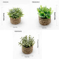 Mini PE Artificial Eucalyptus Plant Green Fake Potted Grass With Woven Pot Home Office Desktop Party Decor Holiday Gift Qme Mix-3Pcs 10-11cm