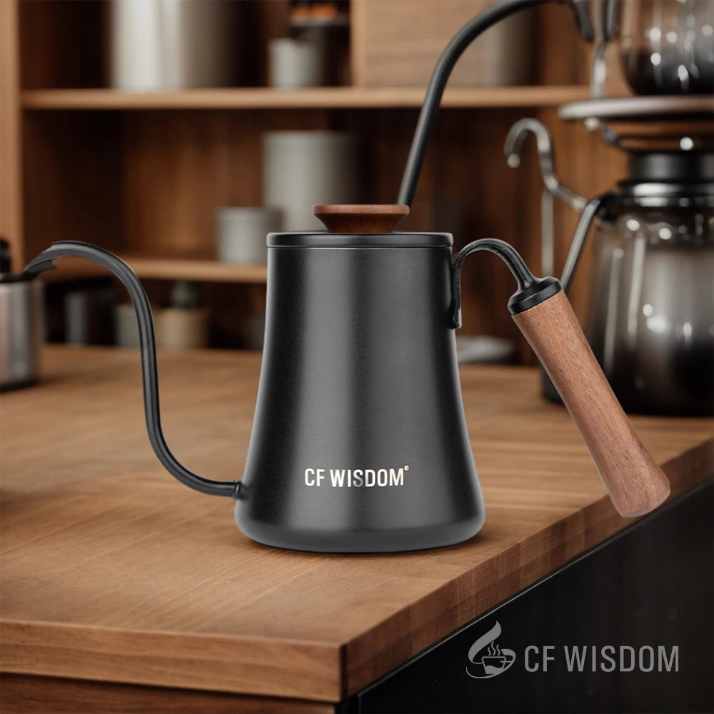CF WISDOM Classic Vintage Stainless Steel Coffee Drip Pot Temperature Qme
