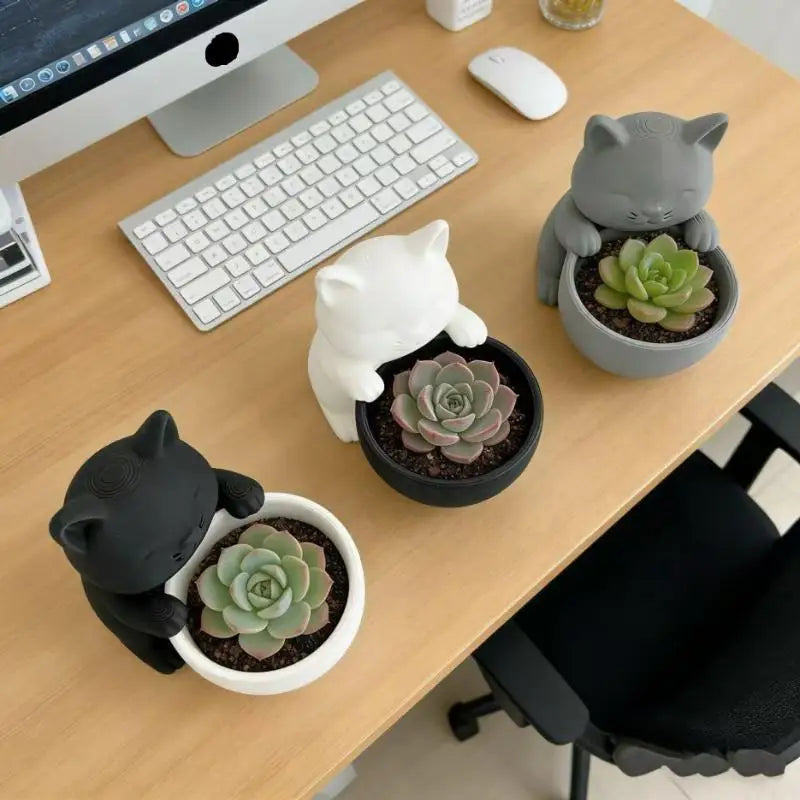 Drainage Holes Uniquely Designed Succulents Small Flowers Cacti Qme