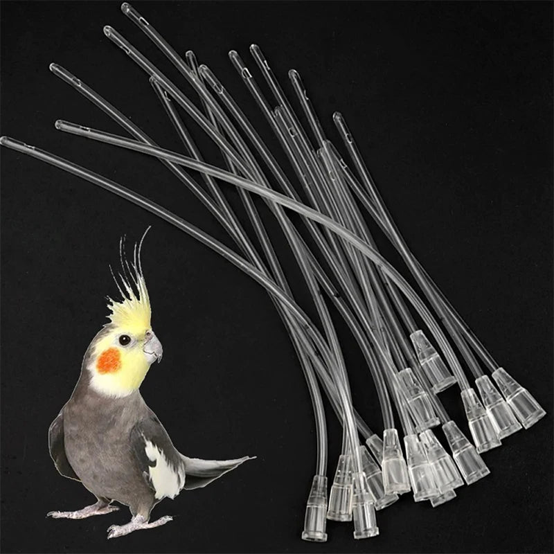 About 8 12 Silicone Soft Tube Parrot Little Bird Oral Gavage Needle Qme