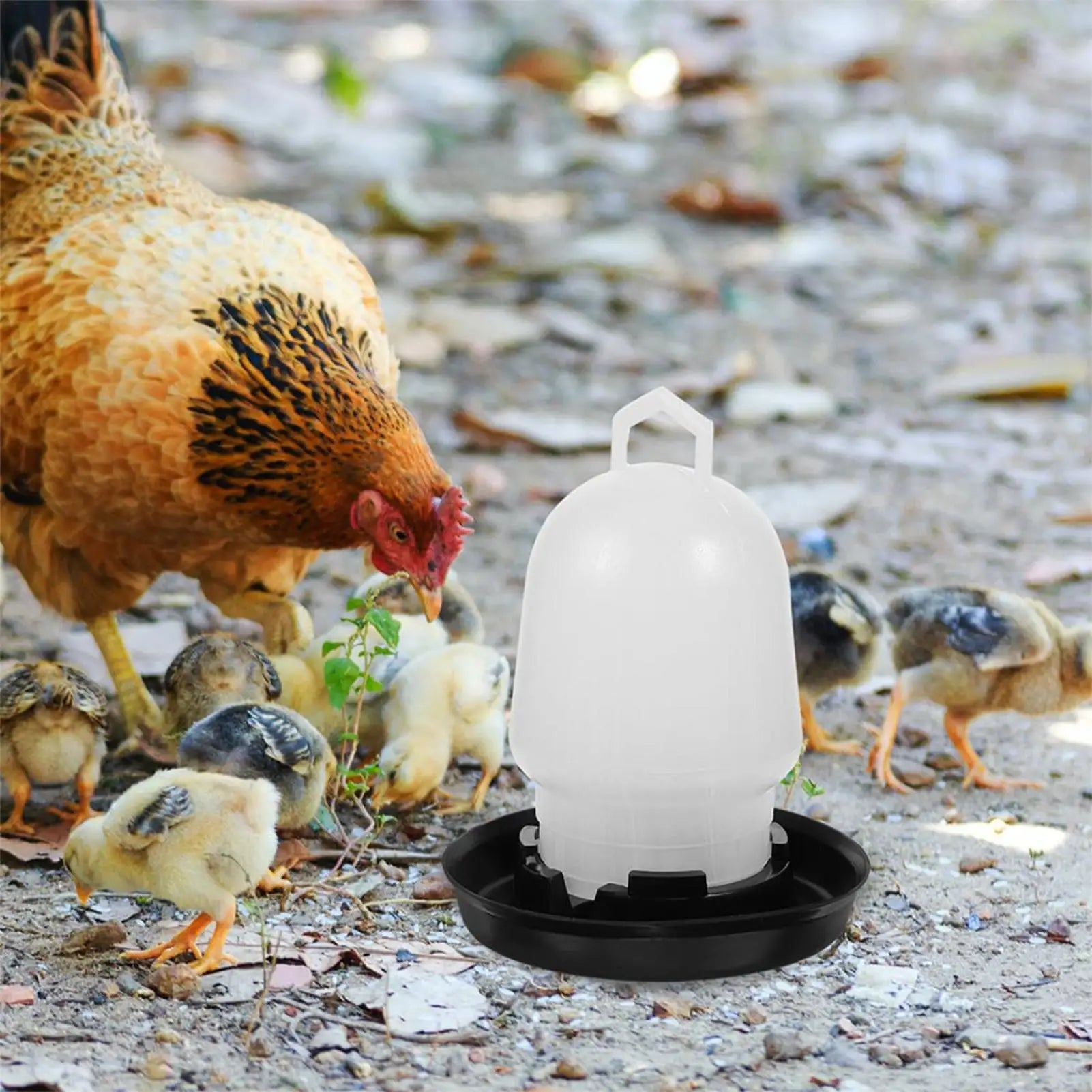 Automatic Chicken Waterer Poultry Drinker Poultry Waterer for Duck Goose Pigeon Quail Livestock Coop Farm Feeding Drinking Qme