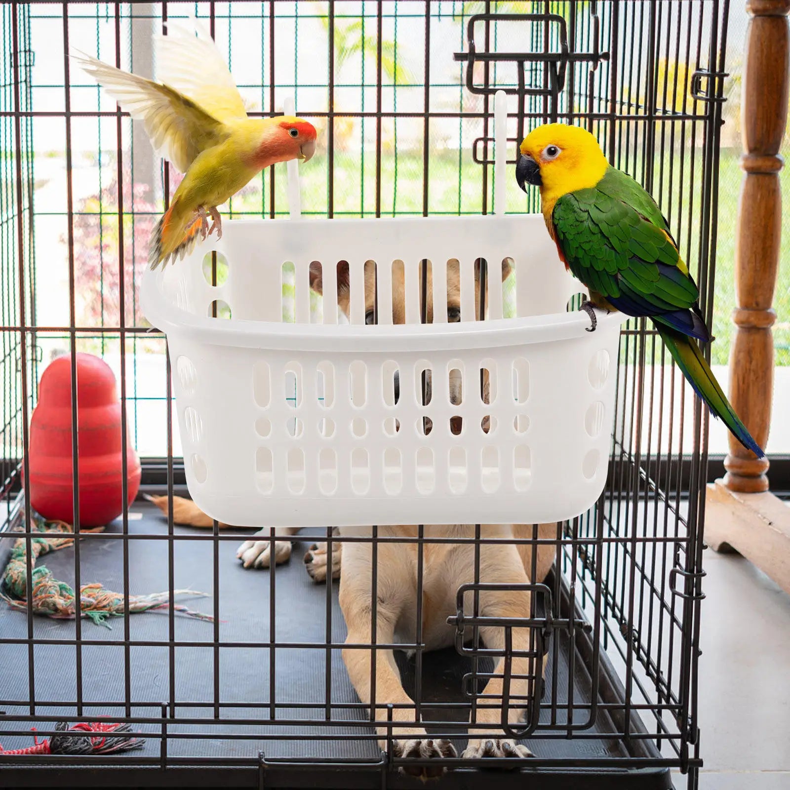 2Pcs Hamster Hanging Beds Plastic Nest Small Pet Sleeping Basket Breathable Mesh Rat Cage Accessories Rat Cage Accessories Qme Default Title