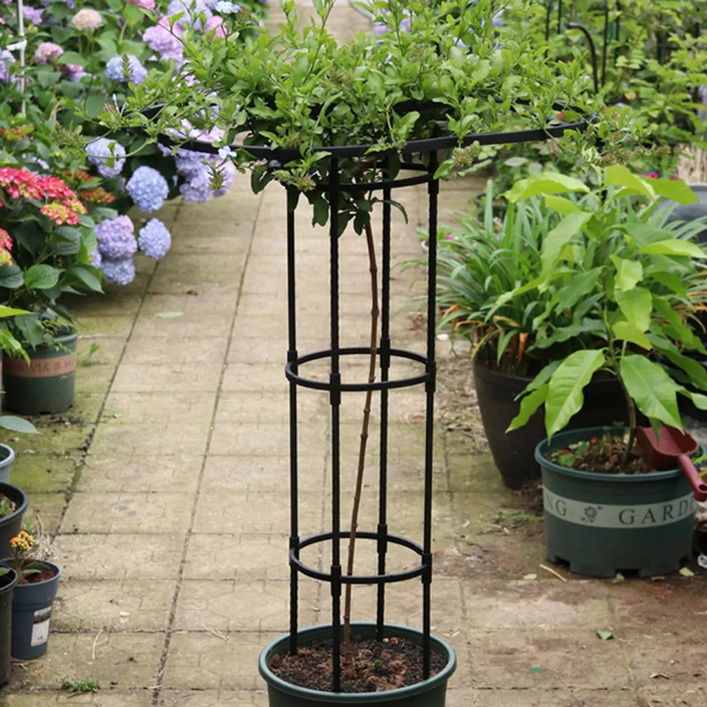 Trellis for Climbing Plants Vegetable Vertical Support Frame Outdoor Gardening Support Trellis for Climbing Plants Flowers Vines Qme