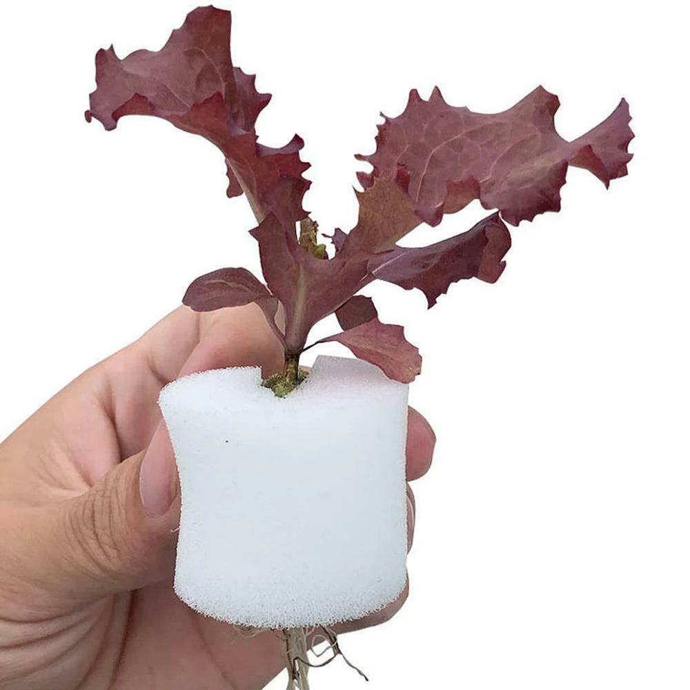 50PCS Plant Net Cup & 50PCS Cylinders Sponge Soilless Net Basket Grow Orchids Hydroponics Cups Garden Supplies Qme