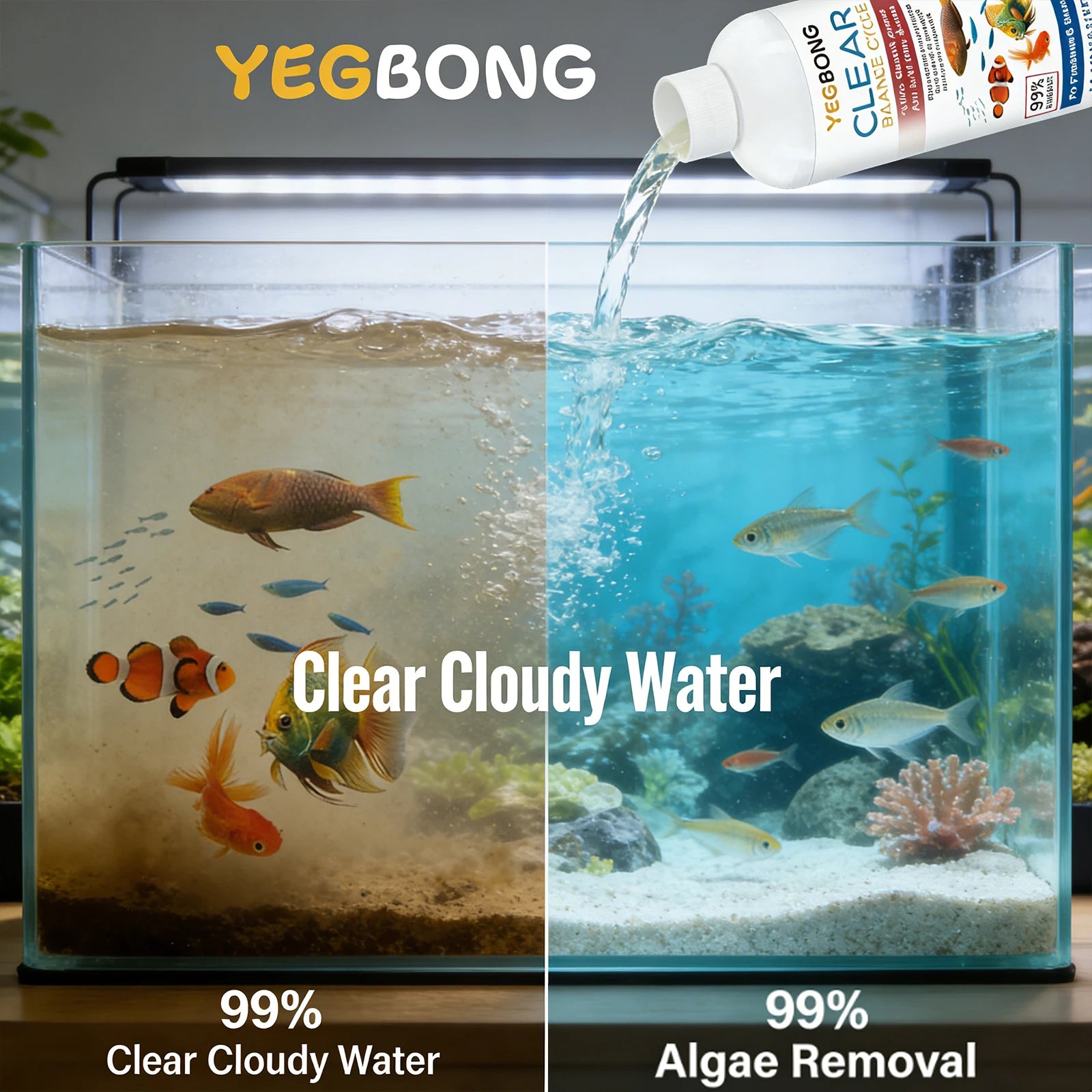 Fish Tank Water Clarifying Agent Quick Clean Stains and Sludge Control Algae Growth Water Purification Fish Tank Water Cleaner Qme