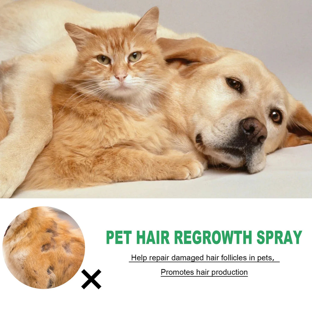 Pet Skin Care Spray Hair Regrowth Itch Relief Mite Removal Deodorization Soothing Anti Flea Lice Insect Killer Pet Moss Spray Qme
