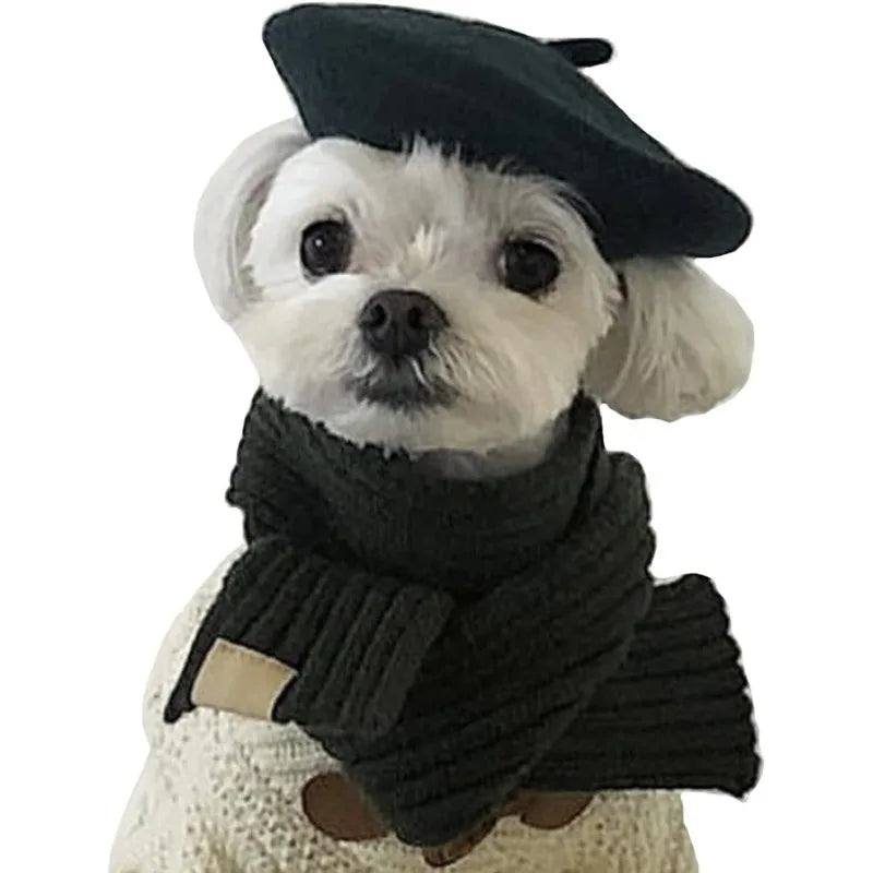Ultra small dog beret cute kitten hat, fashionable pet hat wool mini hat photo props birthday accessories Christmas Halloween Qme
