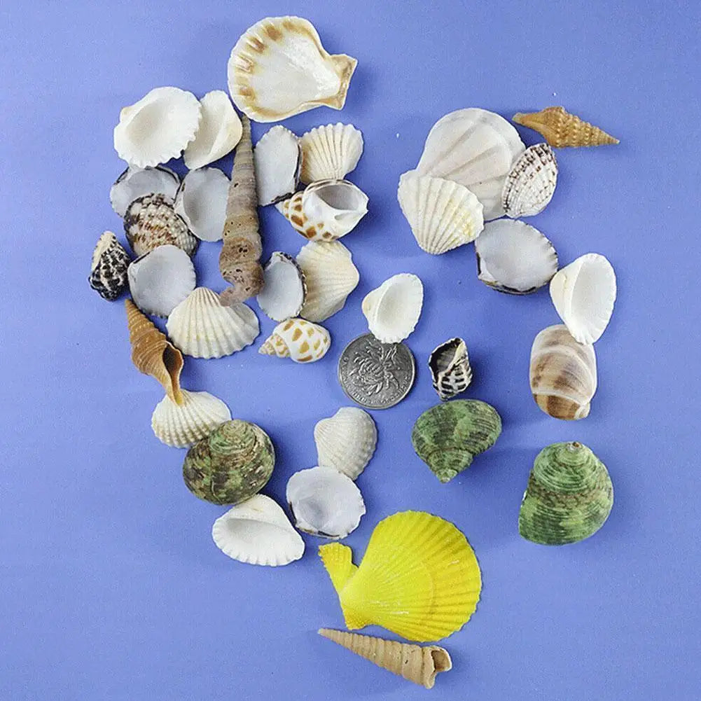 100g Mixed Sea Beach Shells Crafts Seashells Aquarium Decor Photo Props shell coquillage home decoration accessories Qme