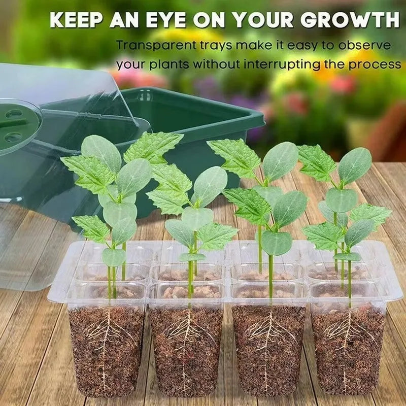 12 Hole Plastics Plant Pots Grow Box Seedling Gardening Sowing Tray Qme