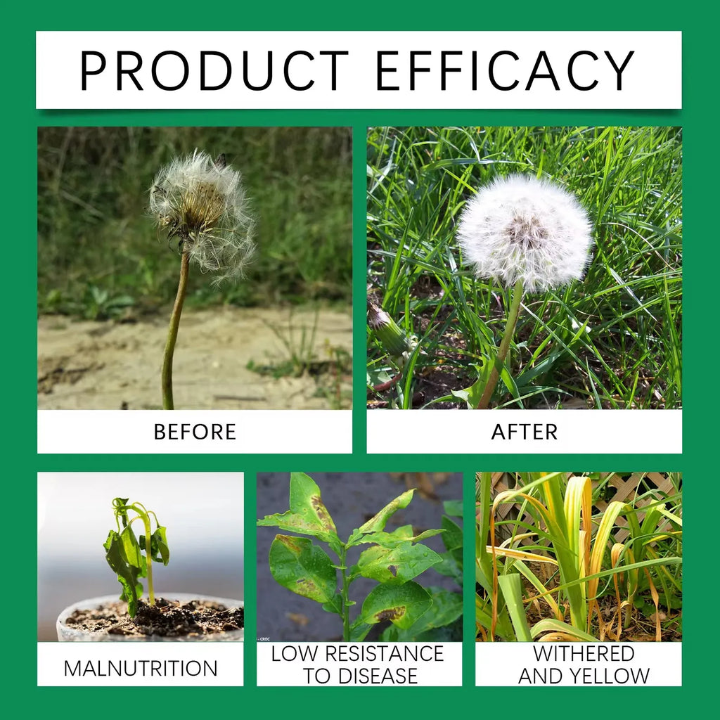 MOONSPRY Succulent Root Booster Liquid Plant Nutrient Solution Grow Enhancer Supplement for Flower & Fruit Fertilizer Qme